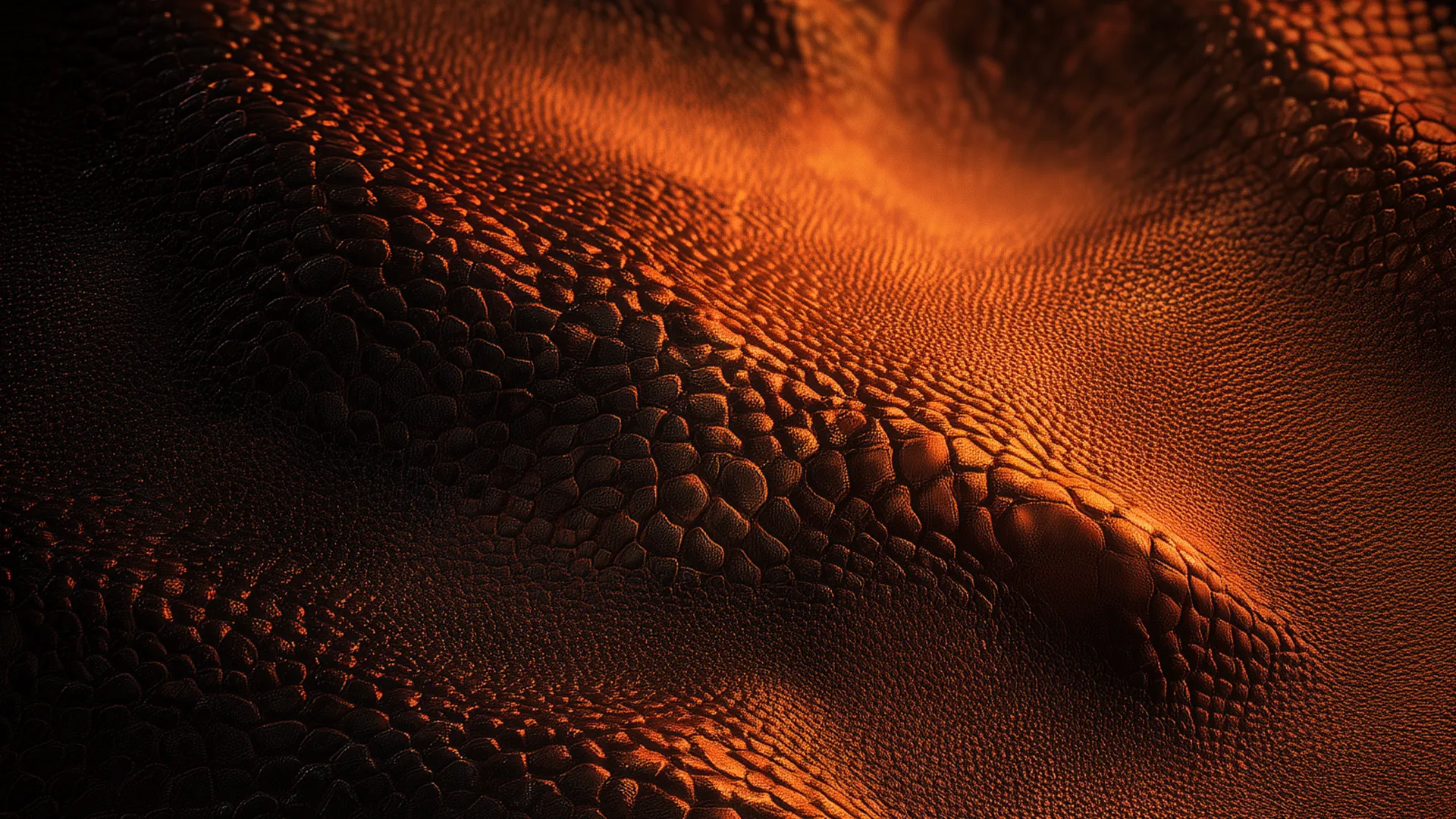 La estética de OUTWORLD traslada al desierto una lectura más inmersiva del techno de gran formato.